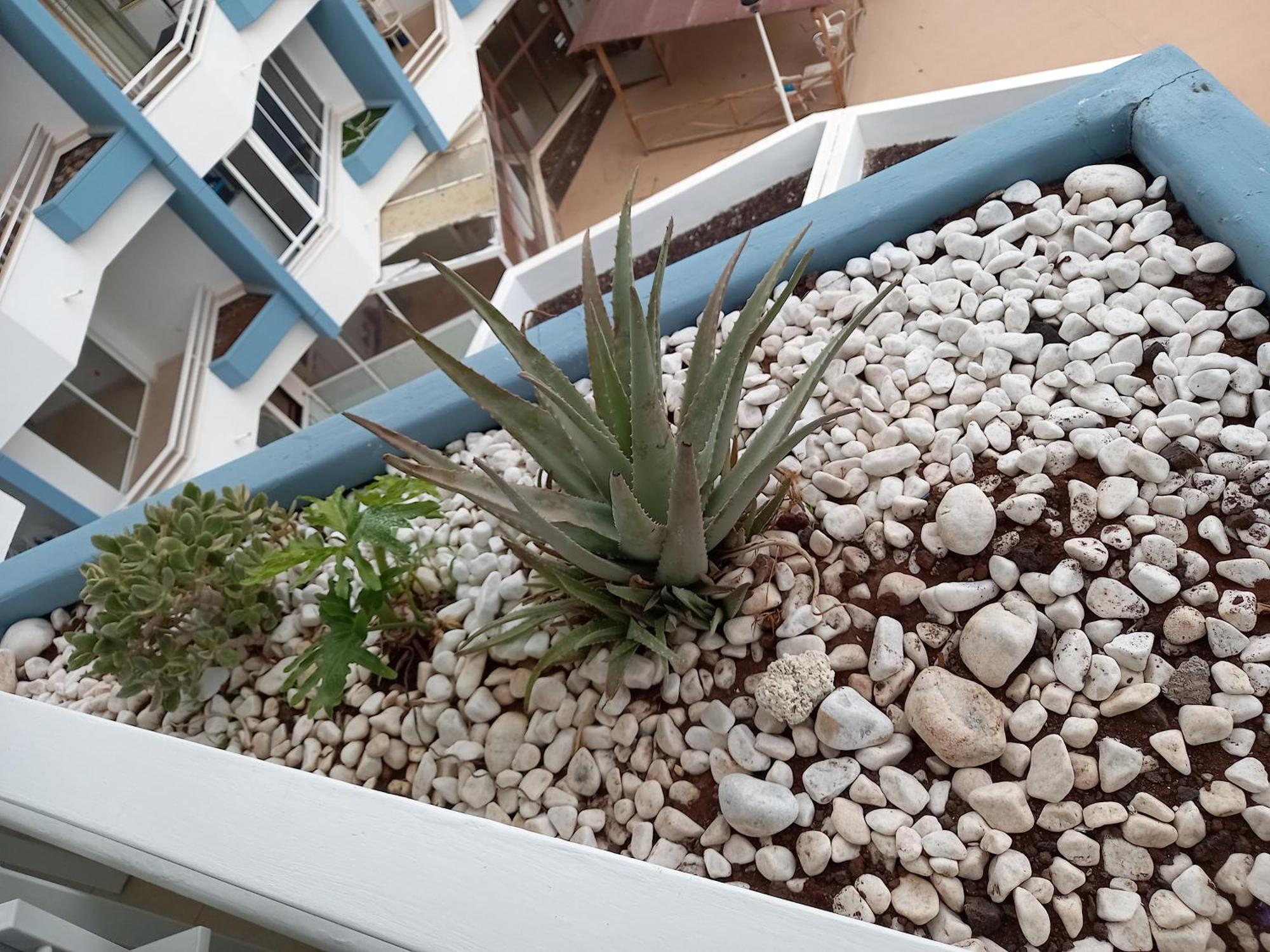 Cousy Holiday Apartment In Sunny Golf Del Sur سان ميغيل ذي أبونا المظهر الخارجي الصورة